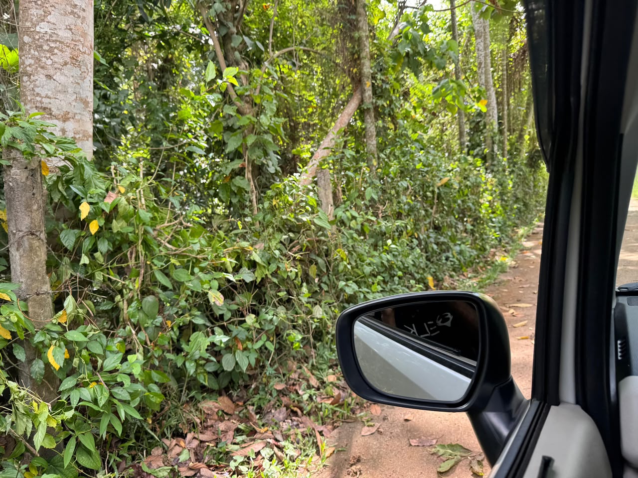 20Perch Flat Land for sale Thotagamuwa, Aluwiharaya