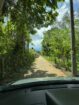 20Perch Flat Land for sale Thotagamuwa, Aluwiharaya