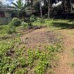 Land for Sale Bandaragama