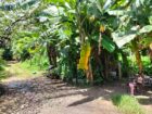 Roadside Land for Sale near Welekade, Thalawathugoda