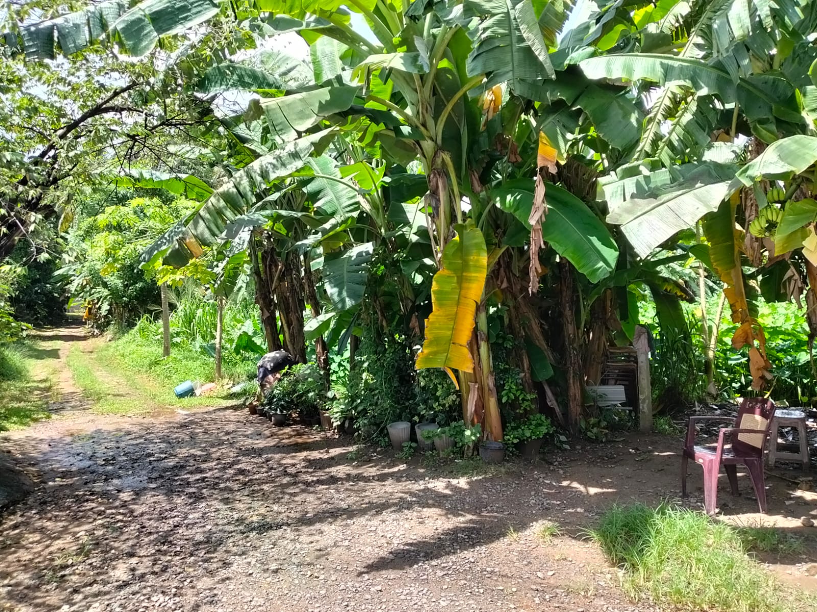 Roadside Land for Sale near Welekade, Thalawathugoda