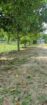 Land for Sale Batticaloa