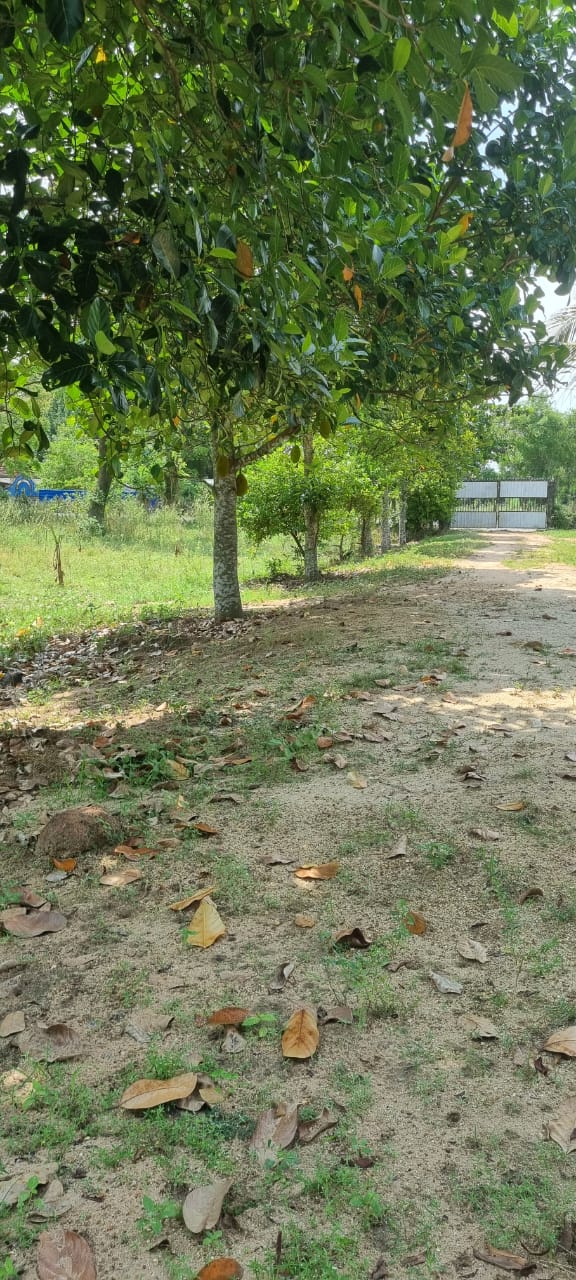 Land for Sale Batticaloa