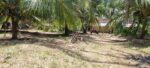 Land for Sale Batticaloa