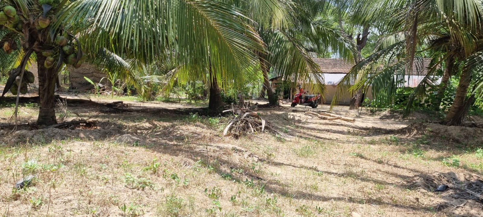 Land for Sale Batticaloa