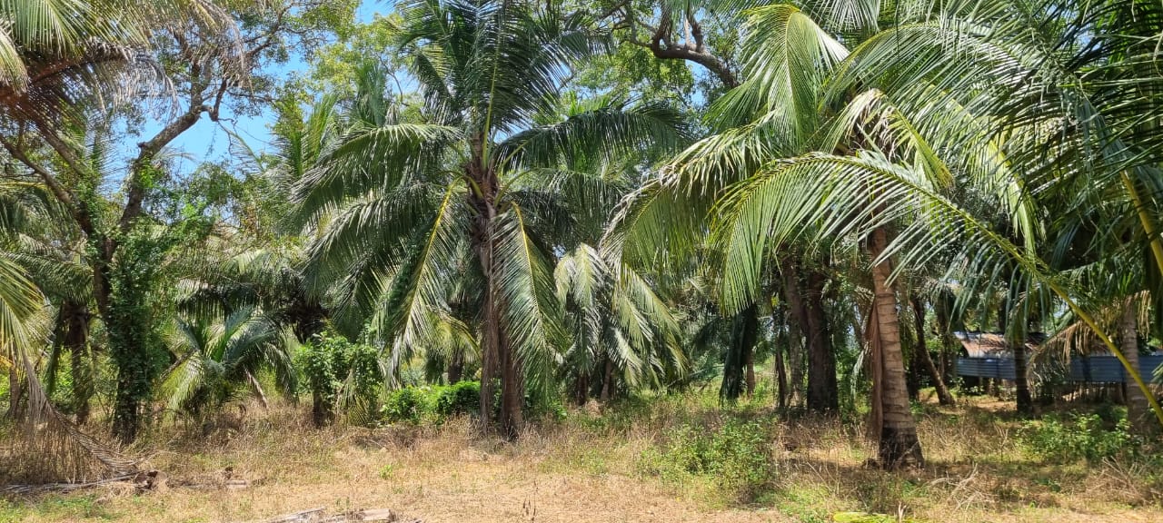 Land for Sale Batticaloa