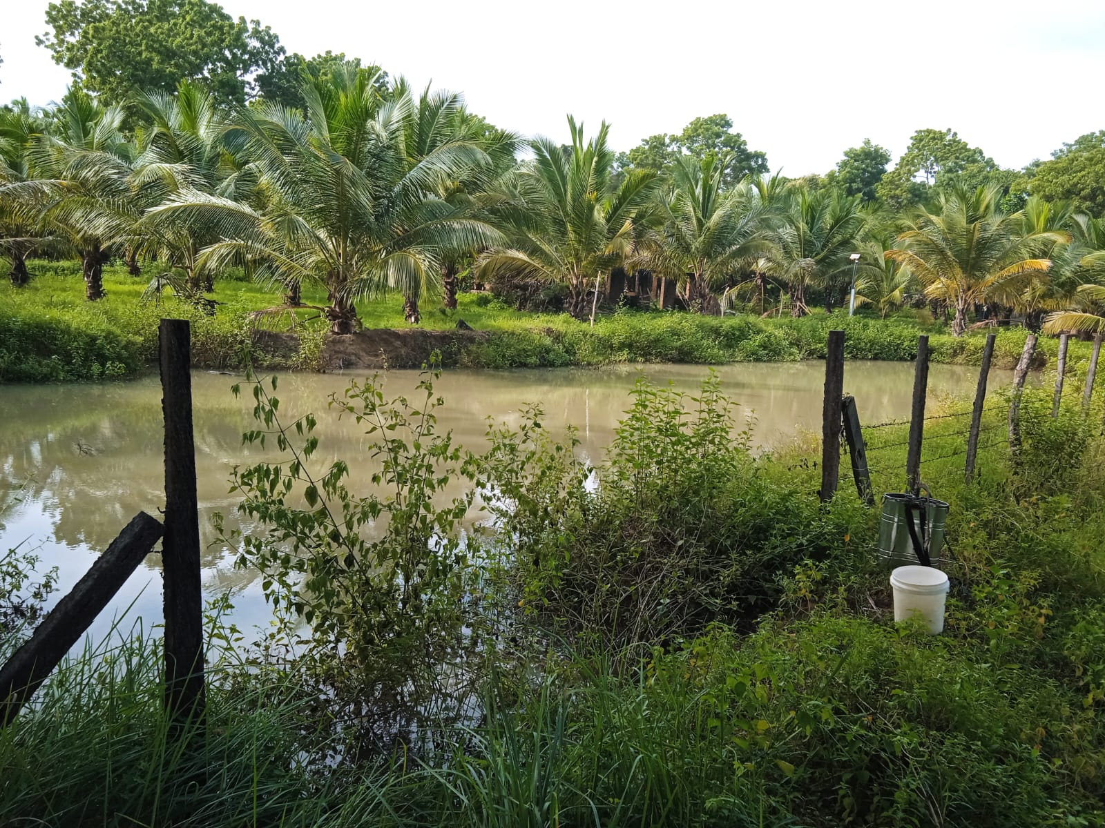 Land for Sale Batticaloa
