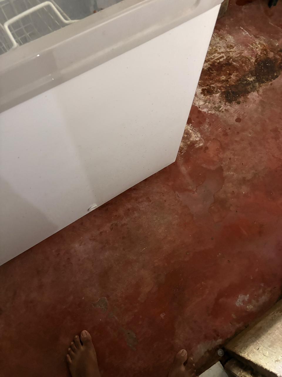 Haier Deep Freezer