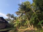 කුරුණෑගල – හෙට්ටිගෙදර ඉඩම විකිණීමට