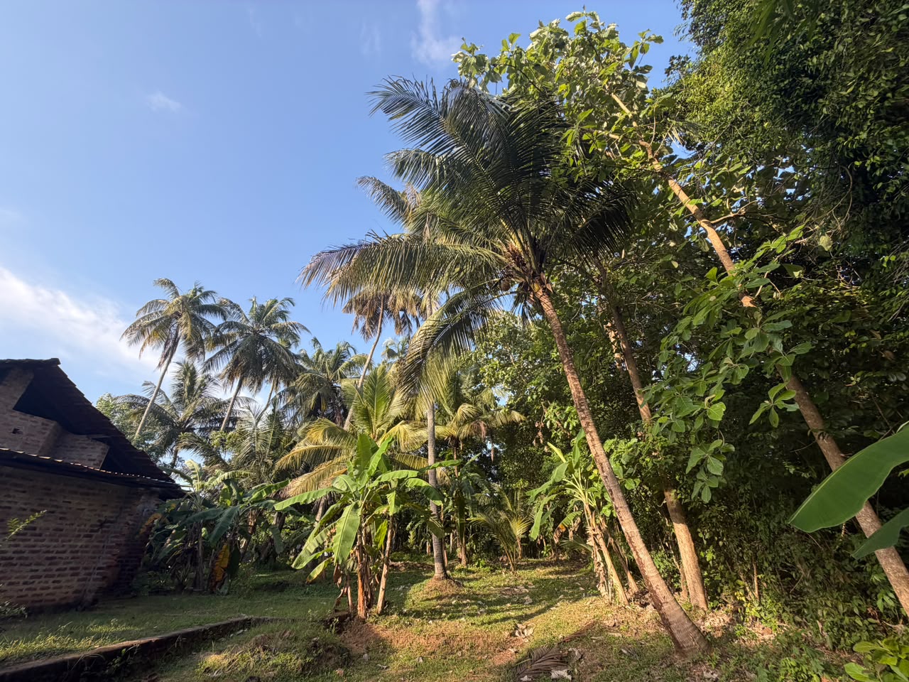 කුරුණෑගල – හෙට්ටිගෙදර ඉඩම විකිණීමට