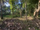 කුරුණෑගල – හෙට්ටිගෙදර ඉඩම විකිණීමට