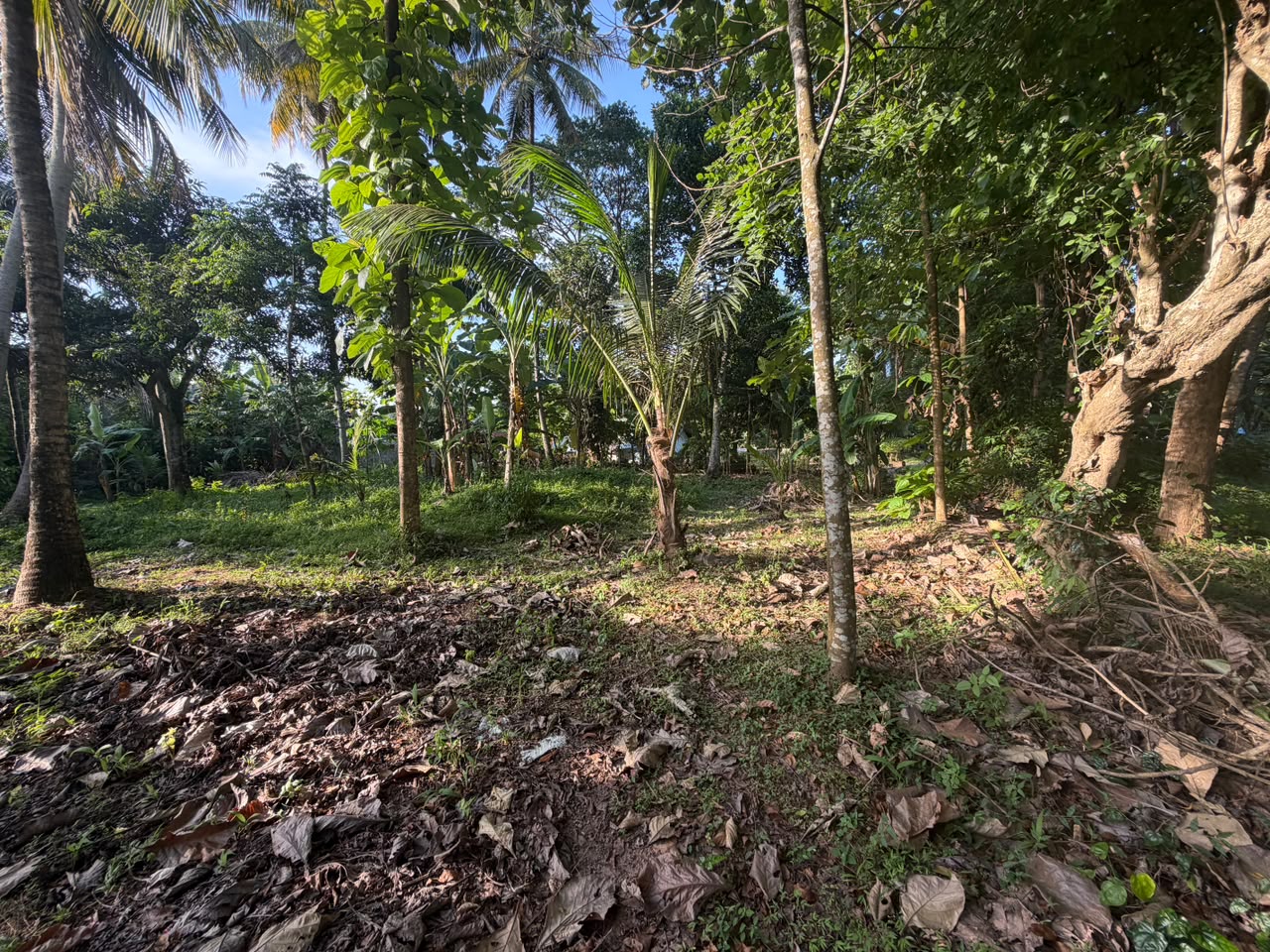 කුරුණෑගල – හෙට්ටිගෙදර ඉඩම විකිණීමට