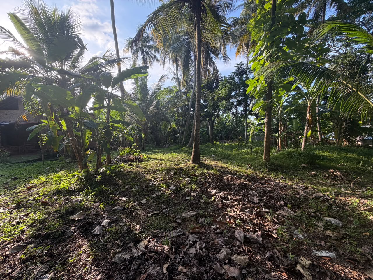 කුරුණෑගල – හෙට්ටිගෙදර ඉඩම විකිණීමට
