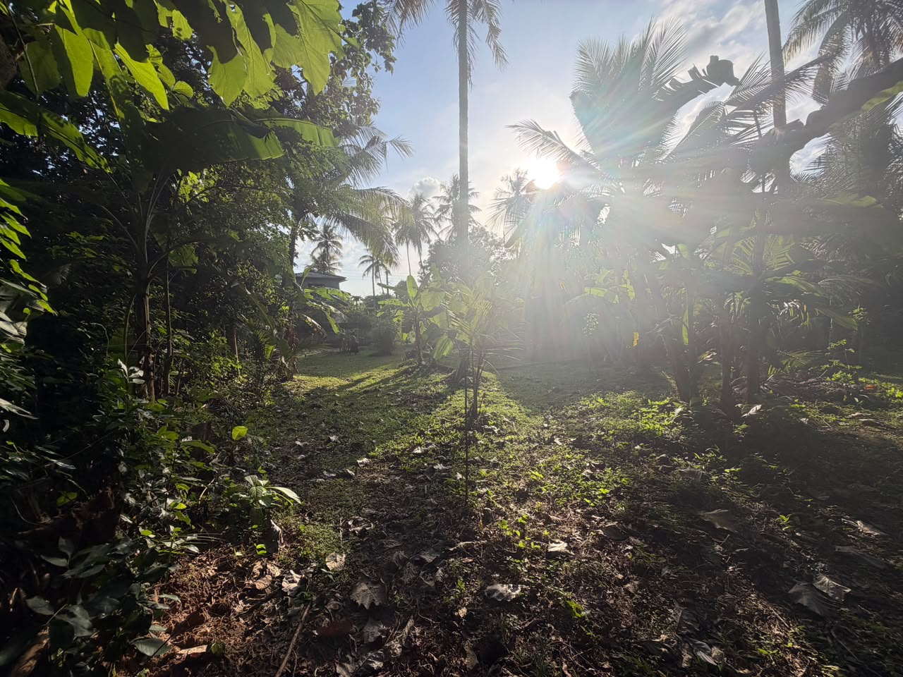 කුරුණෑගල – හෙට්ටිගෙදර ඉඩම විකිණීමට