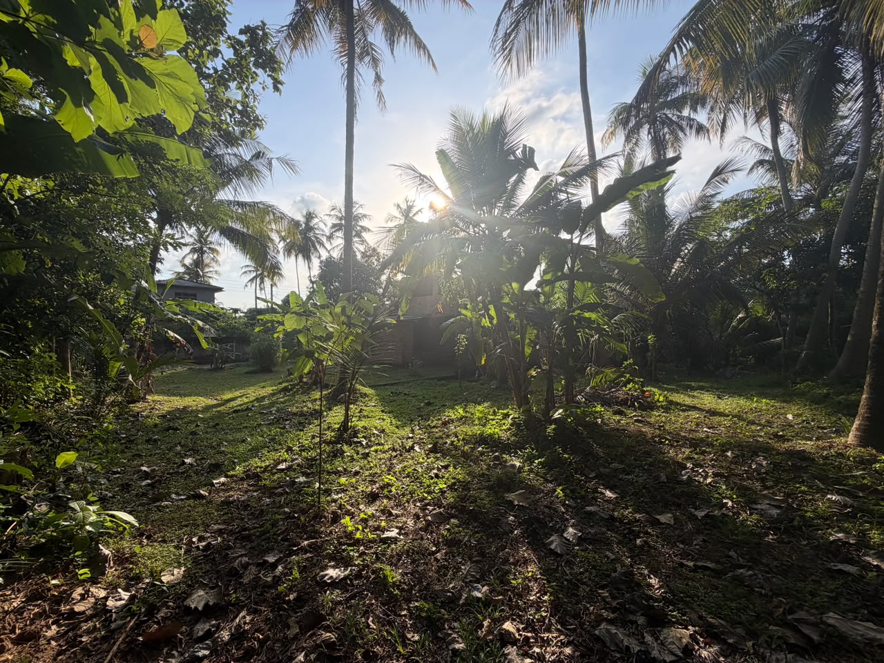 කුරුණෑගල – හෙට්ටිගෙදර ඉඩම විකිණීමට