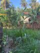 කුරුණෑගල – හෙට්ටිගෙදර ඉඩම විකිණීමට