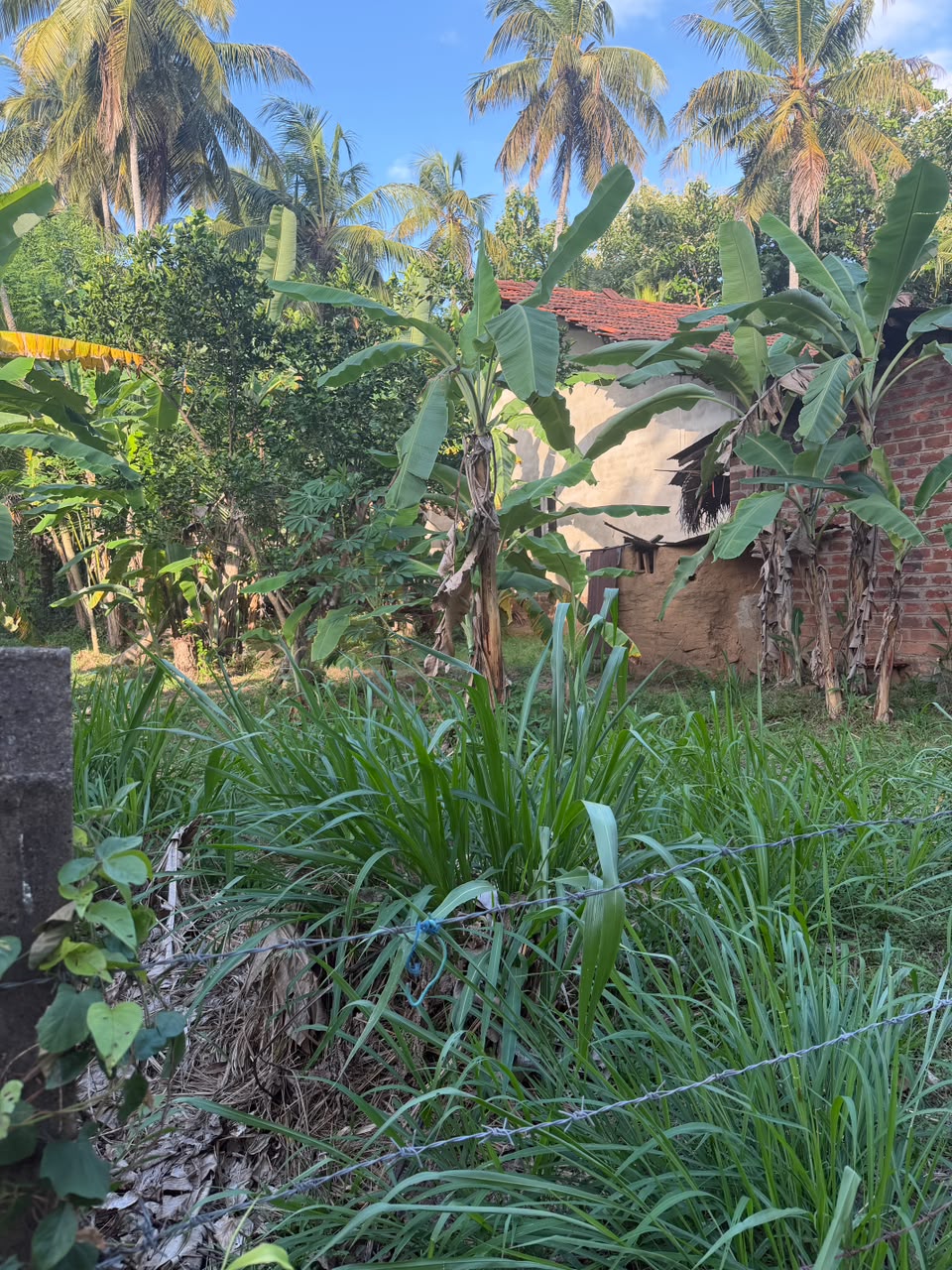 කුරුණෑගල – හෙට්ටිගෙදර ඉඩම විකිණීමට