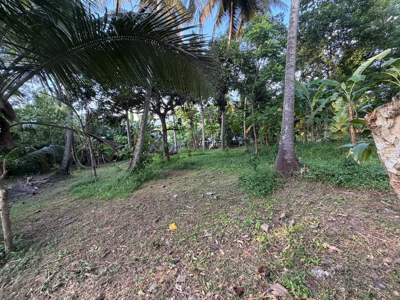 කුරුණෑගල – හෙට්ටිගෙදර ඉඩම විකිණීමට