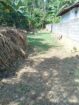 Prime Land for Sale in Nawalapitiya – Highly Residential