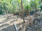 Prime Land for Sale in Nawalapitiya – Highly Residential