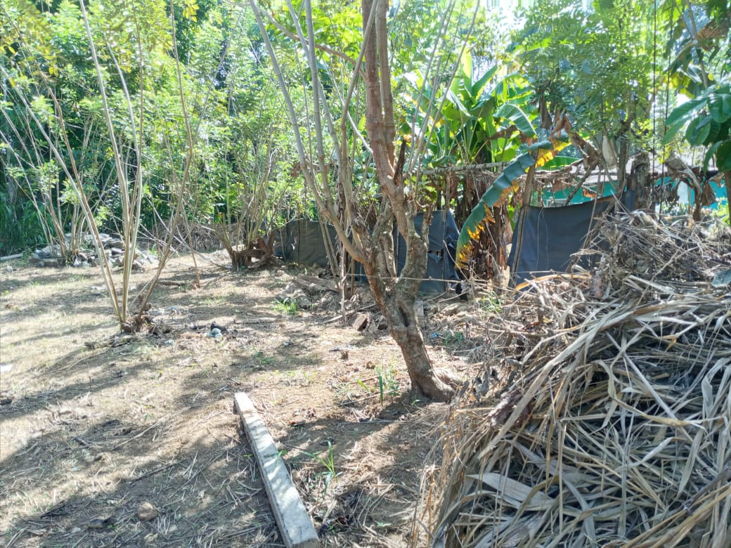 Prime Land for Sale in Nawalapitiya – Highly Residential