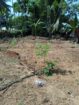 Prime Land for Sale in Nawalapitiya – Highly Residential