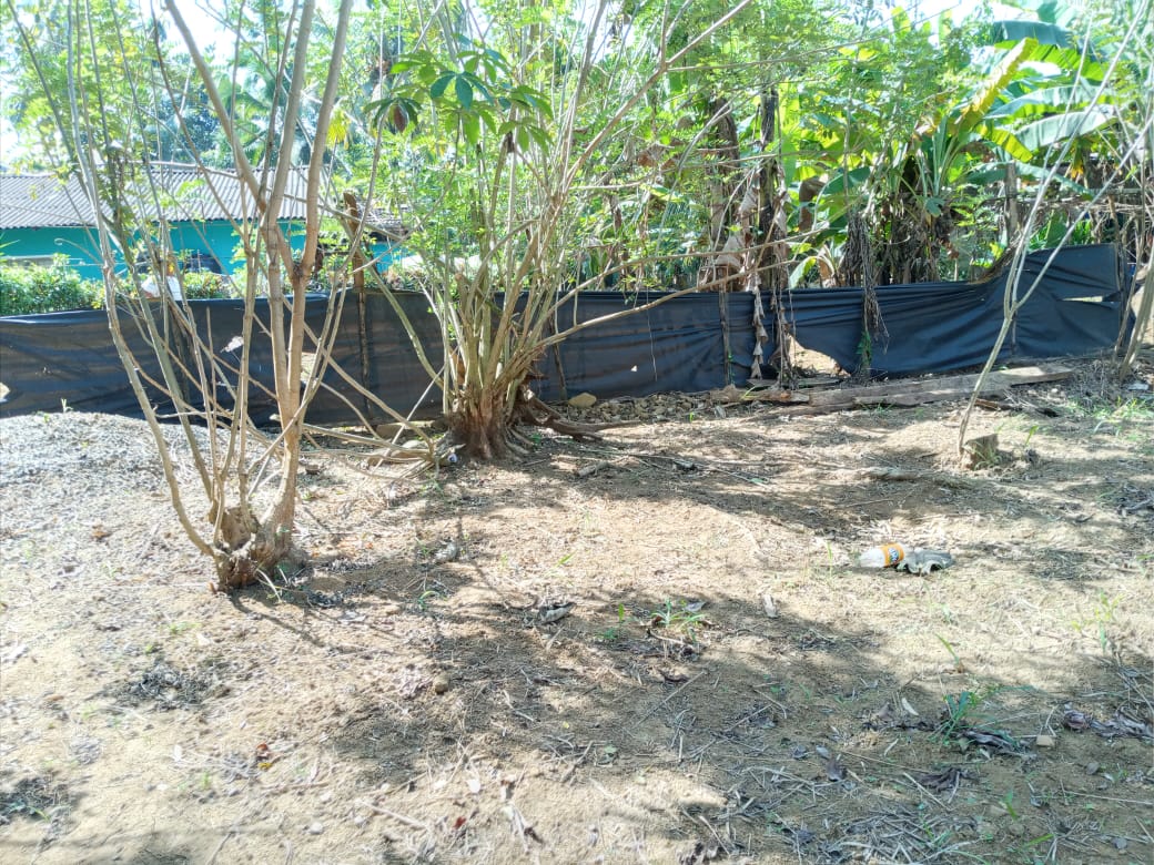 Prime Land for Sale in Nawalapitiya – Highly Residential