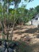 Prime Land for Sale in Nawalapitiya – Highly Residential