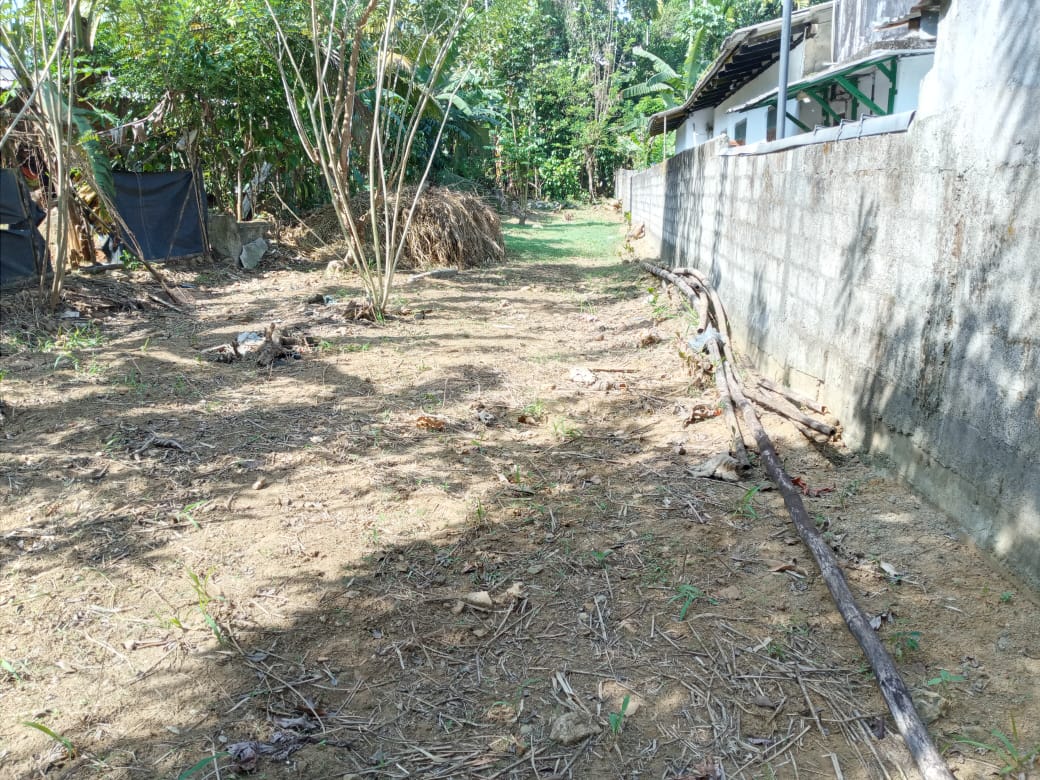 Prime Land for Sale in Nawalapitiya – Highly Residential