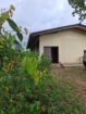 Cinnamon Land for Sale Horagoda Weligama