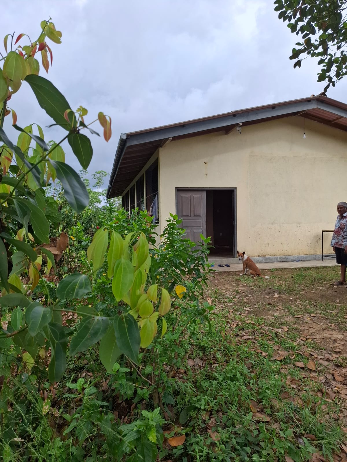 Cinnamon Land for Sale Horagoda Weligama