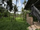 LAND FOR SALE – TAMMITA, GAMPAHA