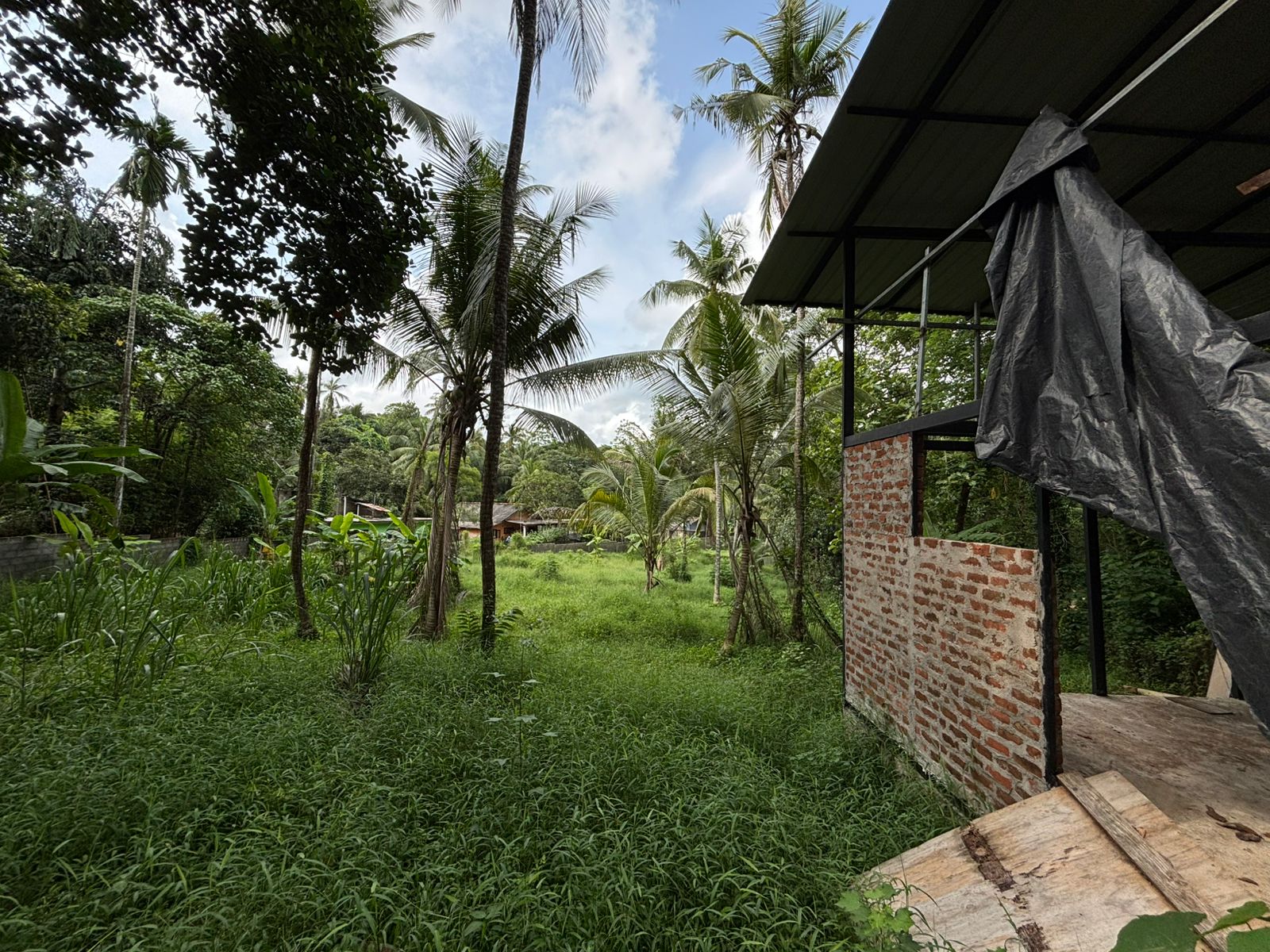 LAND FOR SALE – TAMMITA, GAMPAHA