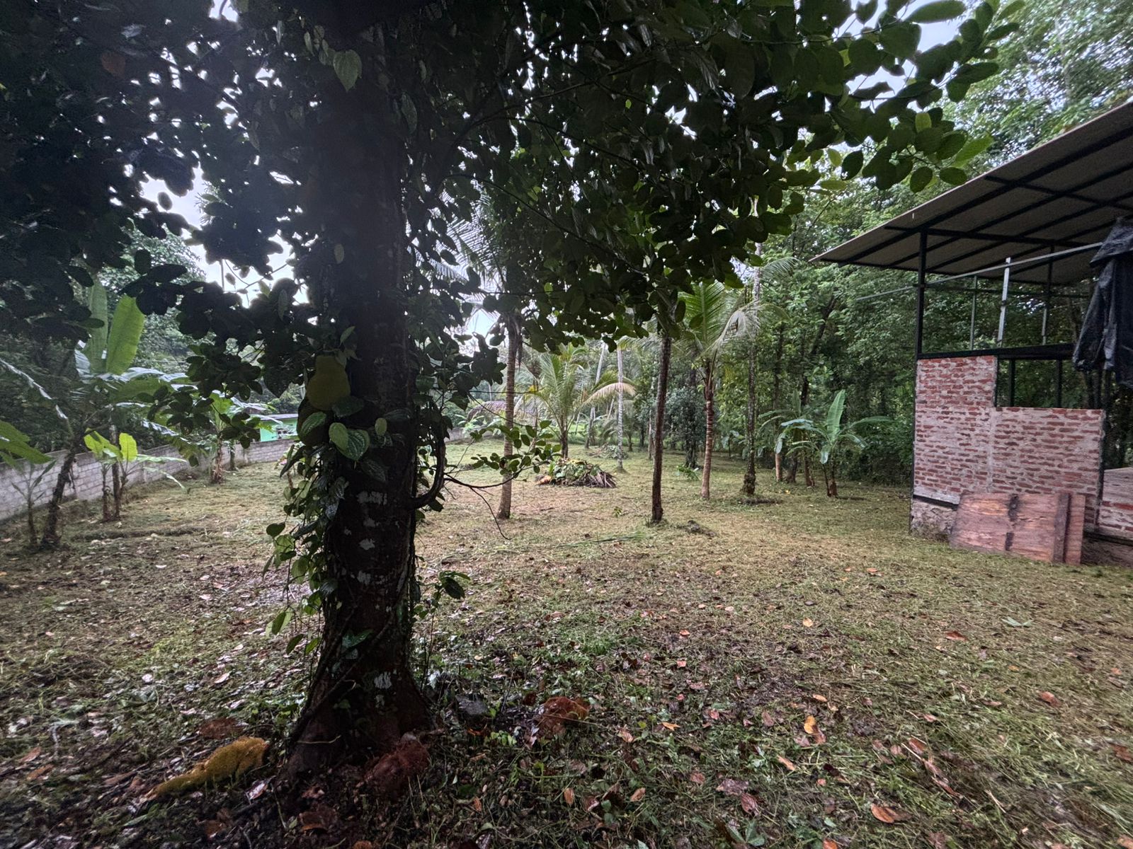 LAND FOR SALE – TAMMITA, GAMPAHA