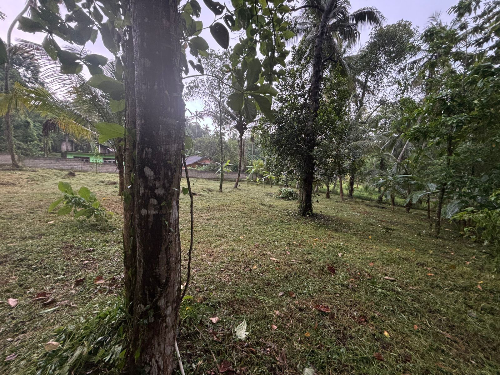 LAND FOR SALE – TAMMITA, GAMPAHA