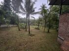LAND FOR SALE – TAMMITA, GAMPAHA
