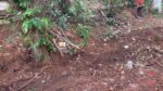 Land For Sale Pannipitiya