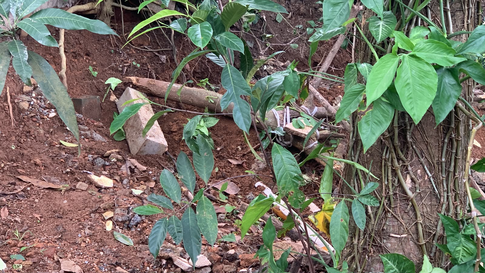 Land For Sale Pannipitiya
