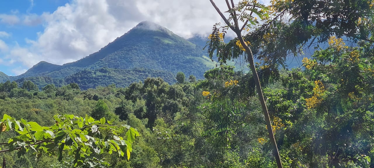 Land For Sale In Matale