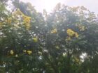 Land For Sale In Matale
