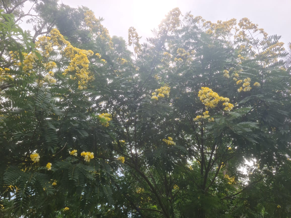 Land For Sale In Matale