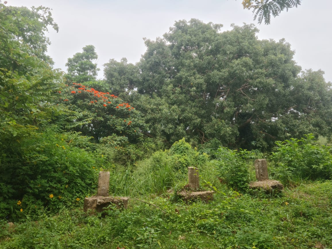 Land For Sale In Matale