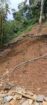 Tea Estate with House for Sale In Kabagamuwa