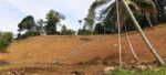 Tea Estate with House for Sale In Kabagamuwa