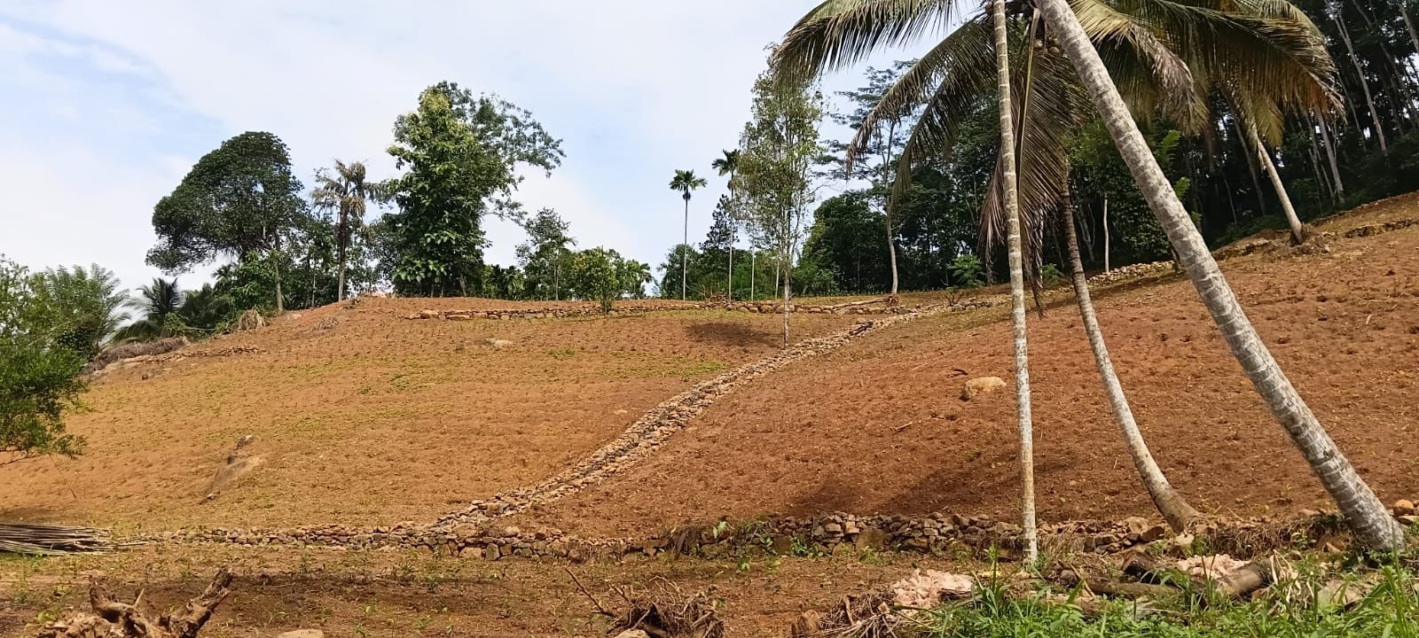 Tea Estate with House for Sale In Kabagamuwa