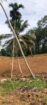 Tea Estate with House for Sale In Kabagamuwa