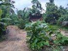 Land for Sale Wellawaya