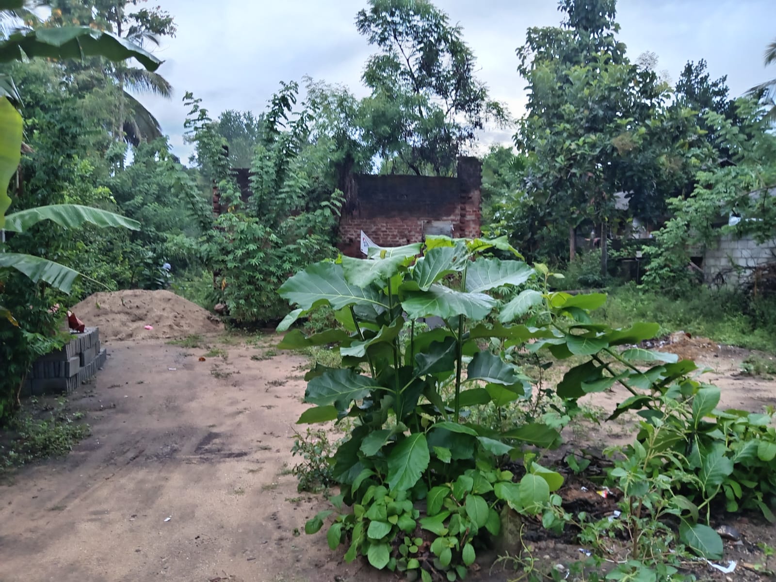 Land for Sale Wellawaya