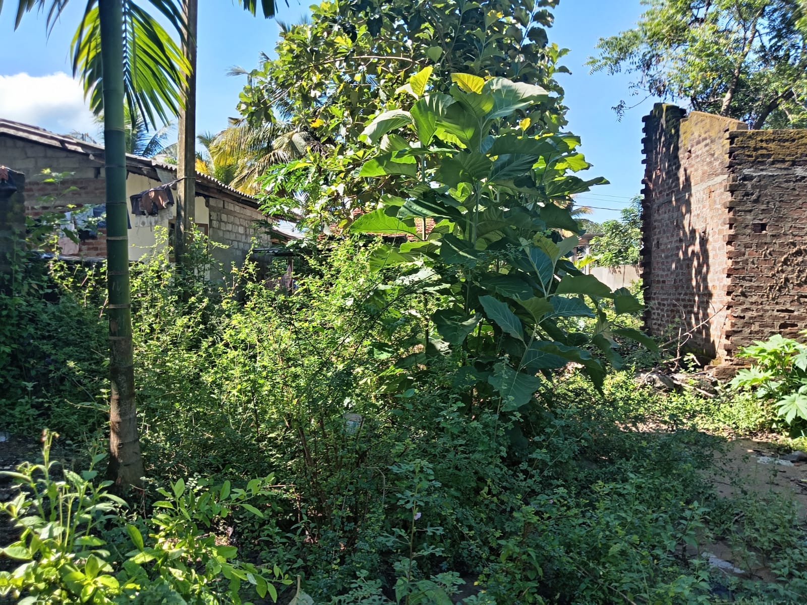 Land for Sale Wellawaya