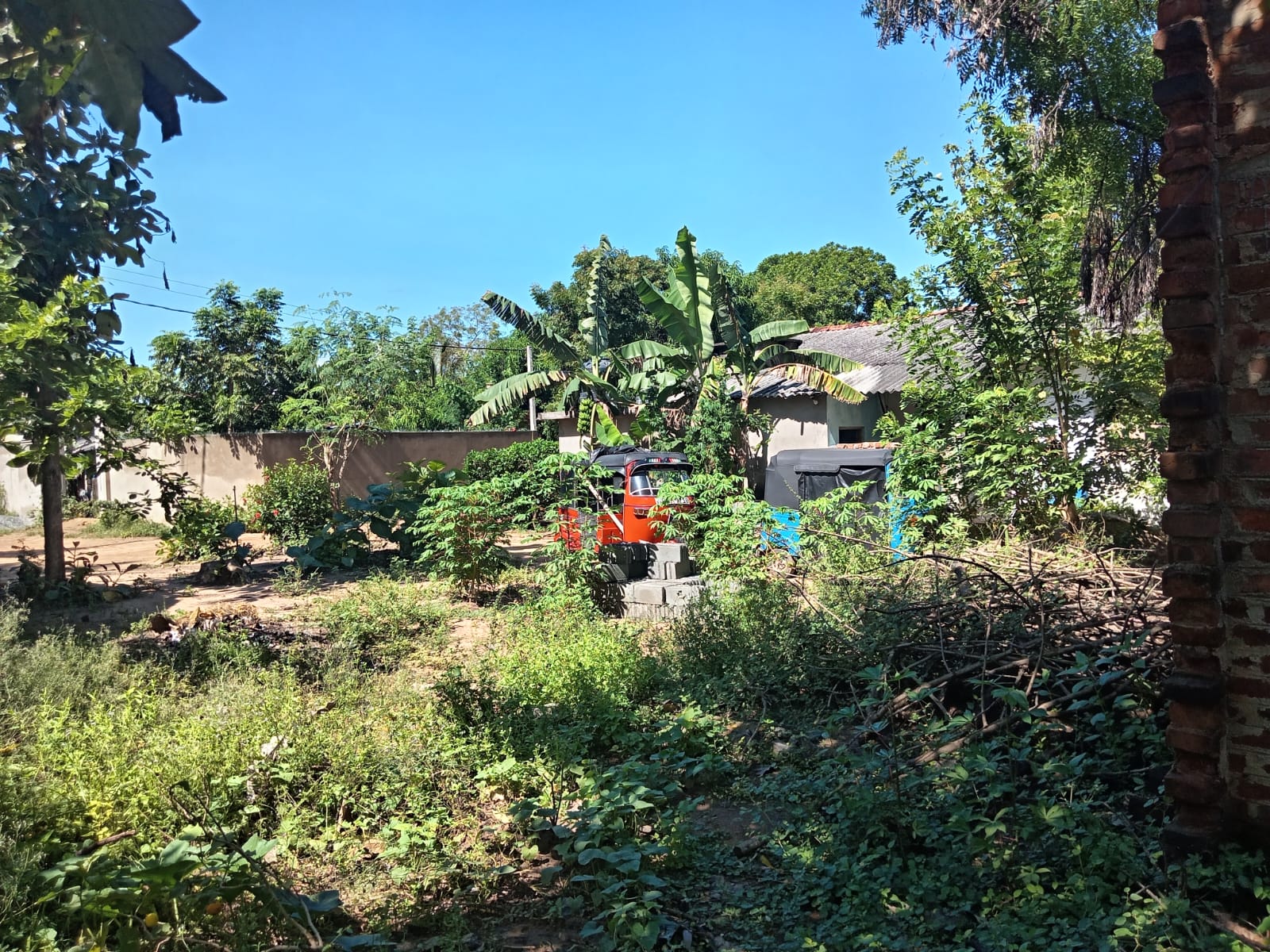 Land for Sale Wellawaya